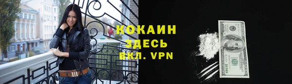 бошки Аркадак