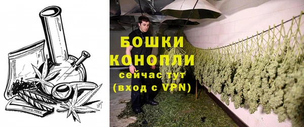 гидра Кодинск