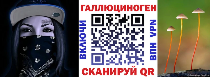 Галлюциногенные грибы Psilocybine cubensis Балей
